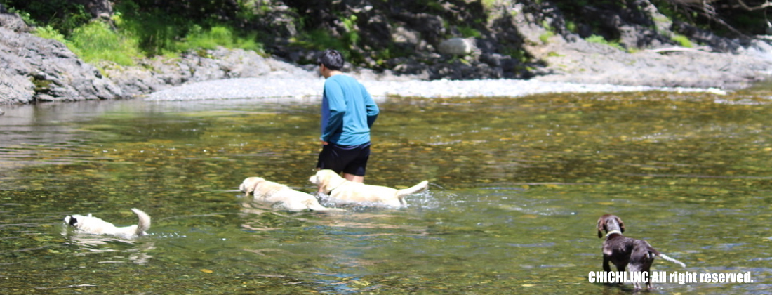 鎌倉でペットと暮らす家を作る