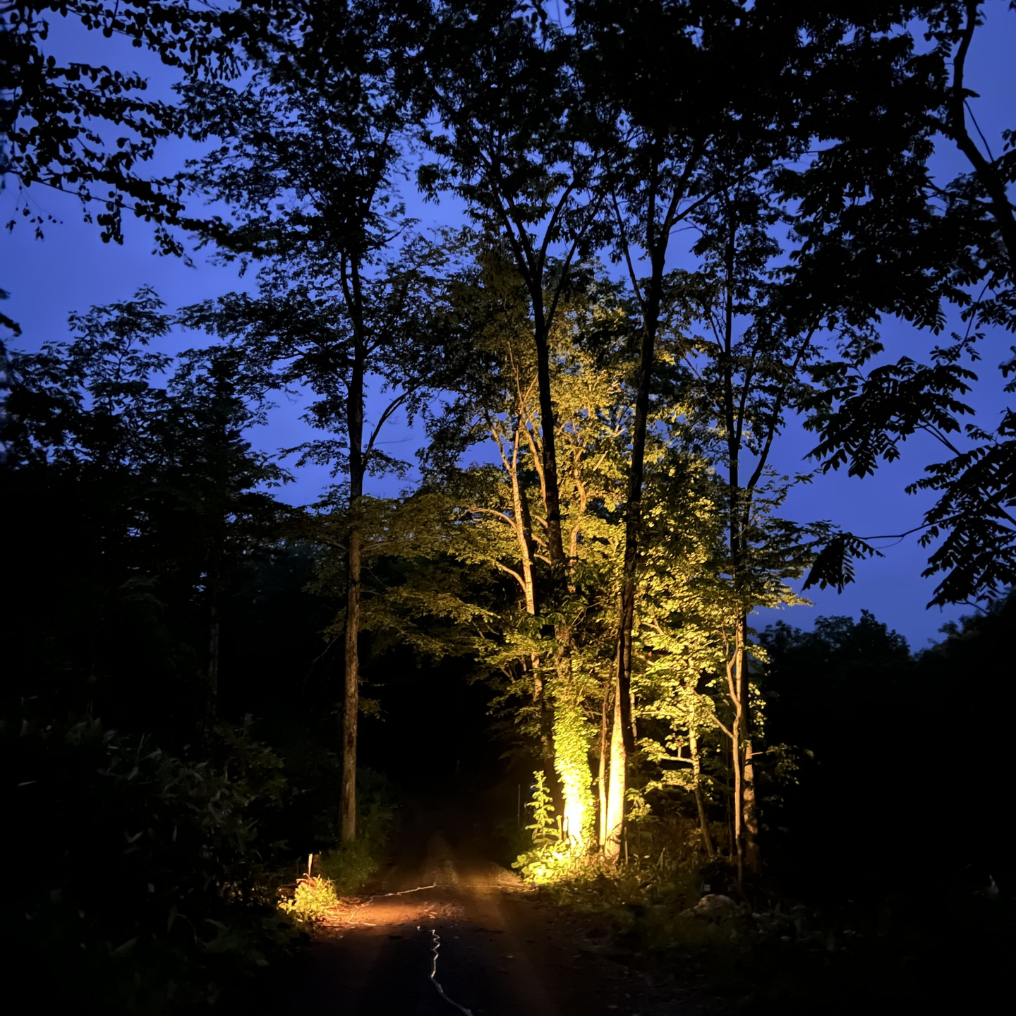 ライティングを考える　デザインする