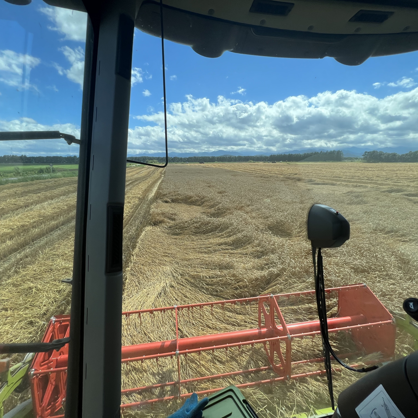 衣食住をを体験する