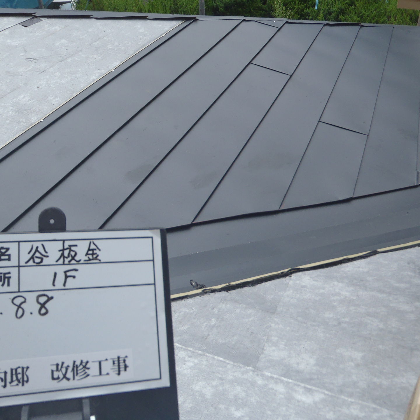 屋根はしっかり