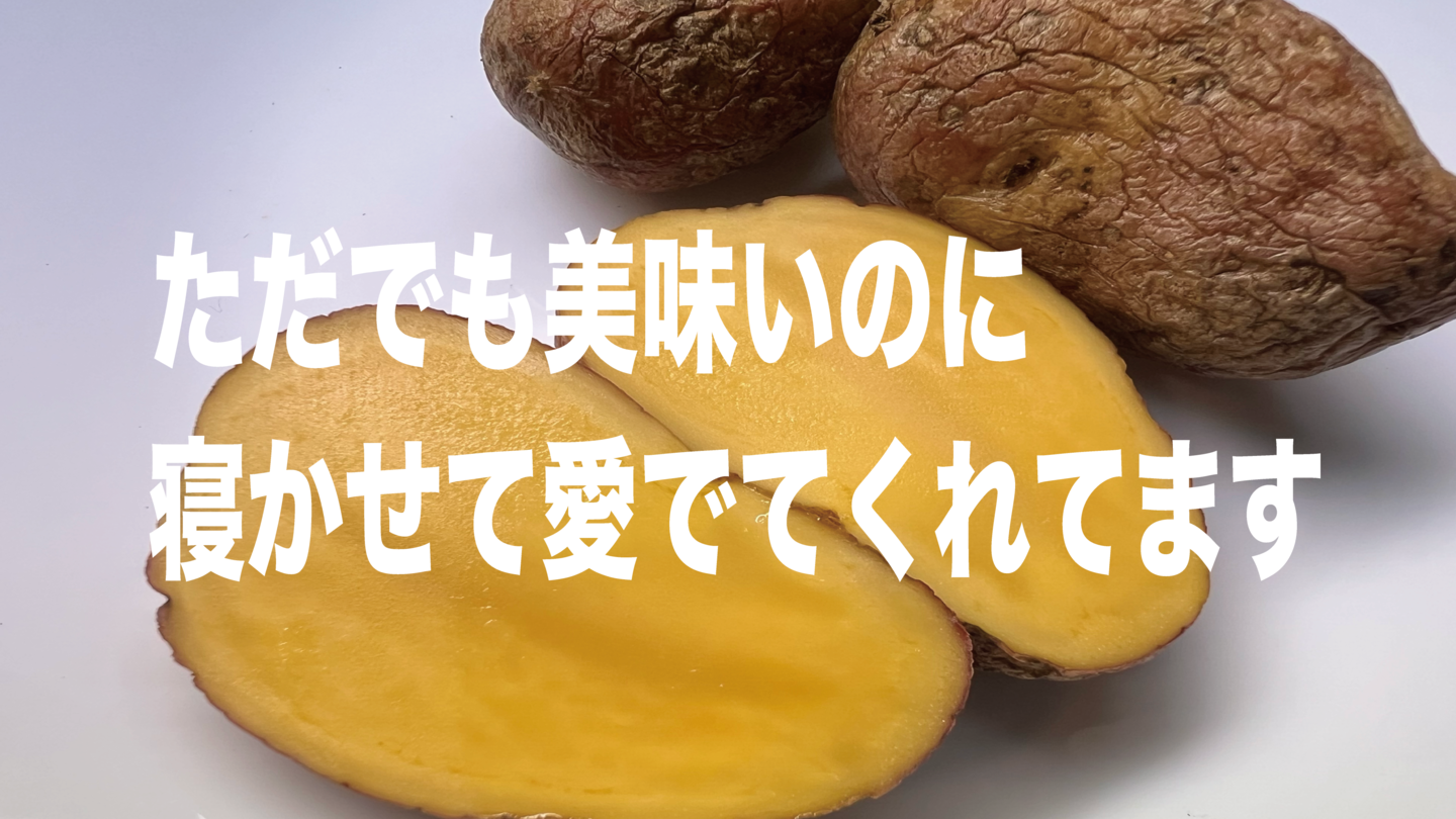 鎌倉リノベーション