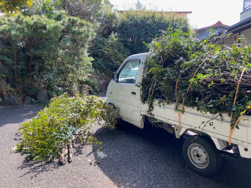 鎌倉の庭づくりは手入れが大事CHICHI.INC