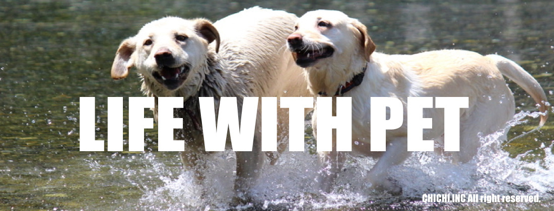 鎌倉リノベーション